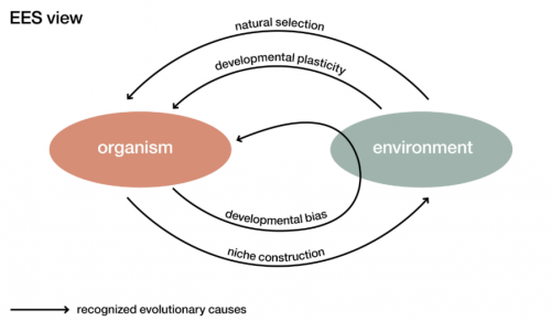 Organism_&_environment